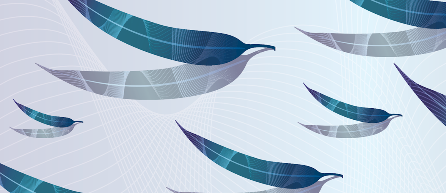 Welcome to Australian Mutual Bank