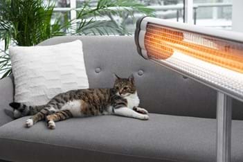 Cat enjoying the warmth of the infrared heater