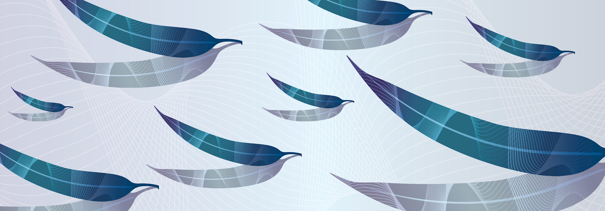 Fake Facebook profiles impersonating Australian Mutual Bank