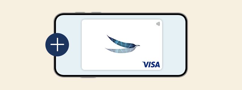 Visa Debit