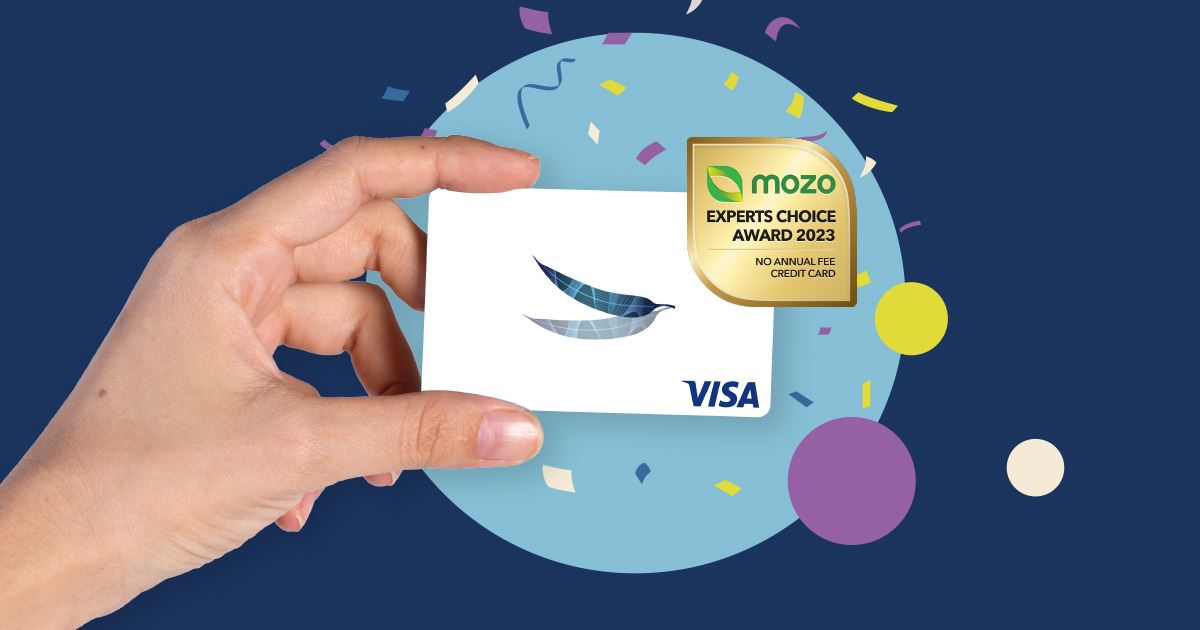 Visa Credit